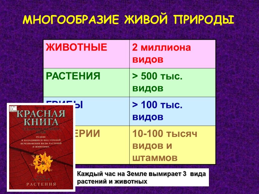 МНОГООБРАЗИЕ ЖИВОЙ ПРИРОДЫ Каждый час на Земле вымирает 3 вида растений и животных МНОГООБРАЗИЕ ЖИВОЙ ПРИРОДЫ Каждый час на Земле вымирает 3 вида растений и животных